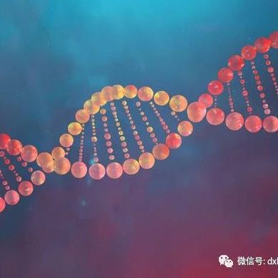 来对号入座 | 这些急非淋白血病治疗反应佳，预后好！