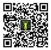 一分钟快速长高的拉伸体验操