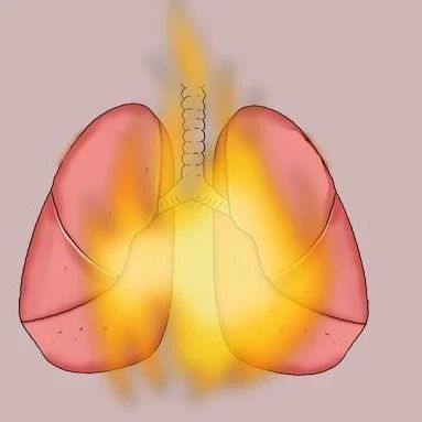 肺火旺盛，身体会有哪些异常？如何降肺火？
