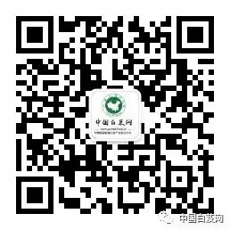 四川广元苍溪百亿中药材成富民强县“良药”白芨种植 四川广元苍溪百亿中药材成富民强县“良药”白芨种植