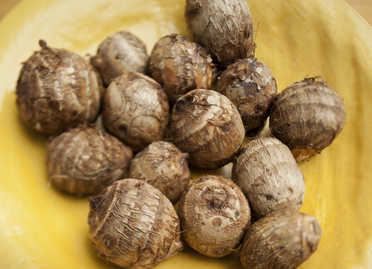 医生提醒！人人嫌它长得丑，却不知是治百病的良药！受益匪浅！