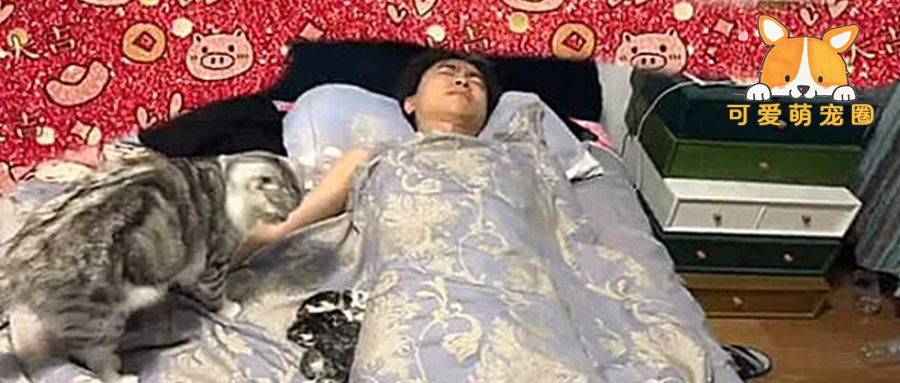 男子睡到一半正要翻身，却感觉哪里不对，瞟了一眼被子不敢动了......