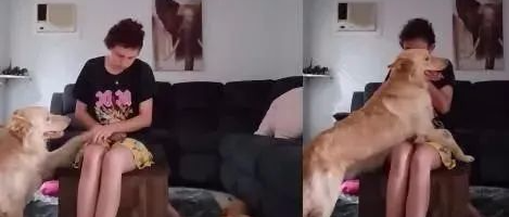 狗狗最爱的玩具停产了，厂商看到后竟然送来.....