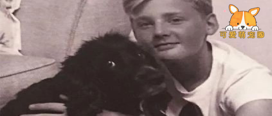 陪伴自己10年的狗狗被安乐死后，这个14岁的少年选择了自杀！