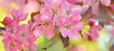 一段心里话（致自己）