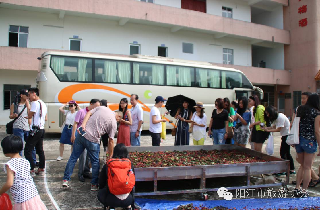 祝贺阳江市田山生态园基地荣获获得《广东省农业旅游示范点》的称号