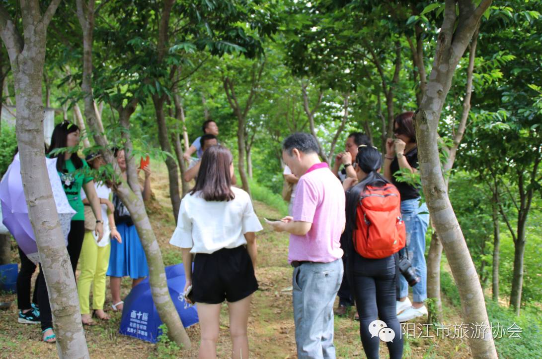 祝贺阳江市田山生态园基地荣获获得《广东省农业旅游示范点》的称号