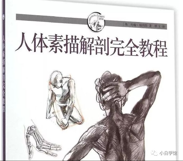 美术生如果想了解人体结构，这些书籍能帮助到你​​​​​