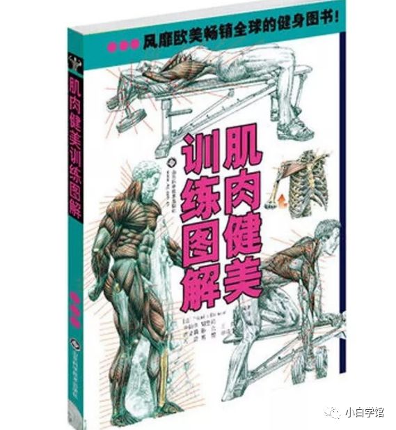 美术生如果想了解人体结构，这些书籍能帮助到你​​​​​