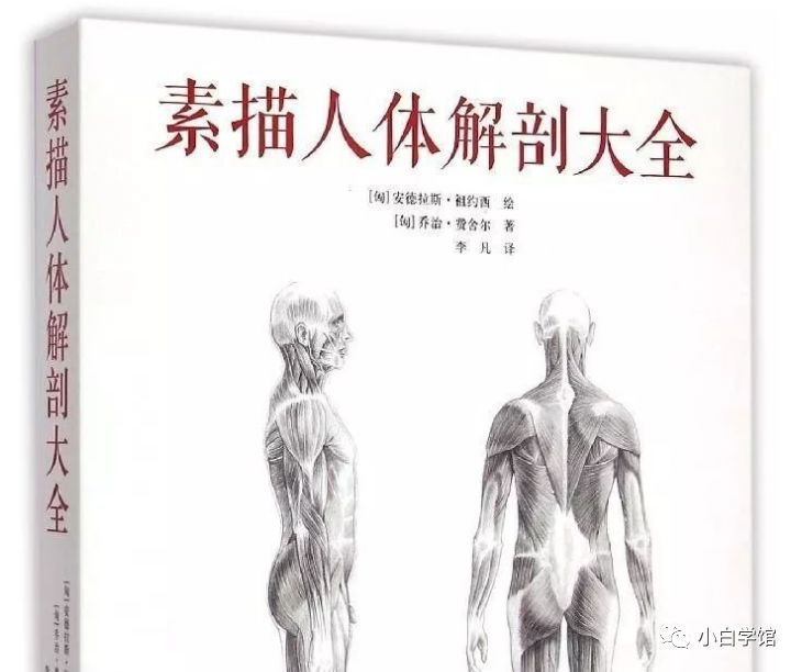 美术生如果想了解人体结构，这些书籍能帮助到你​​​​​