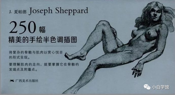 美术生如果想了解人体结构，这些书籍能帮助到你​​​​​