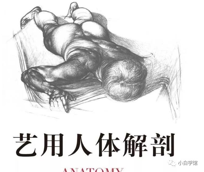 美术生如果想了解人体结构，这些书籍能帮助到你​​​​​