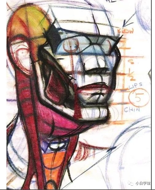 美术生如果想了解人体结构，这些书籍能帮助到你​​​​​