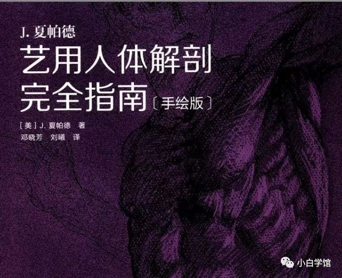 美术生如果想了解人体结构，这些书籍能帮助到你​​​​​