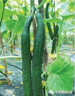 ​最难找的民间偏方，药到病除！为家人留着吧~