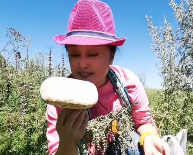 (谢大脚）于月仙生前最后画面曝光，内蒙古大草原上采蘑菇，令人泪目