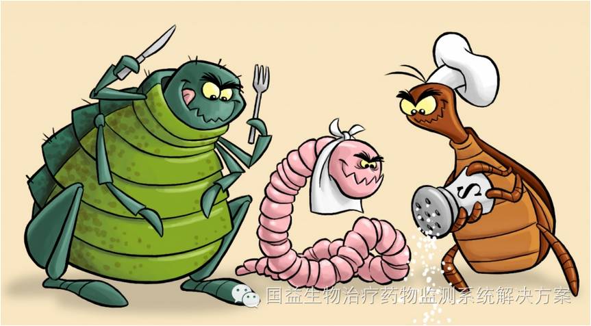 只吃不胖当心寄生虫感染 国益生物健康护航