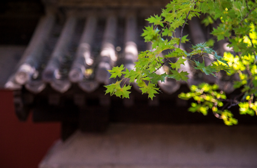 想明白了，你就再也不会生气了