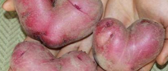 睡觉前吃一个，到60岁血管都通畅！功效惊人，千万别错过~