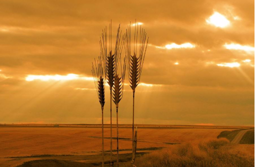 活着，是一种责任。