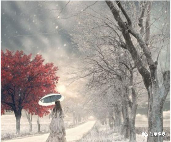 伽巫塔罗：越在乎的无法陪对方一直走下去，这些星座注定孤单吗？