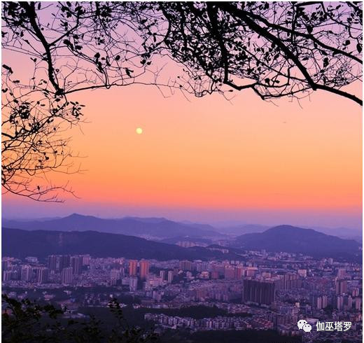 伽巫塔罗：和有远见有理想的人共处，你也会变得有动力，揭秘星座