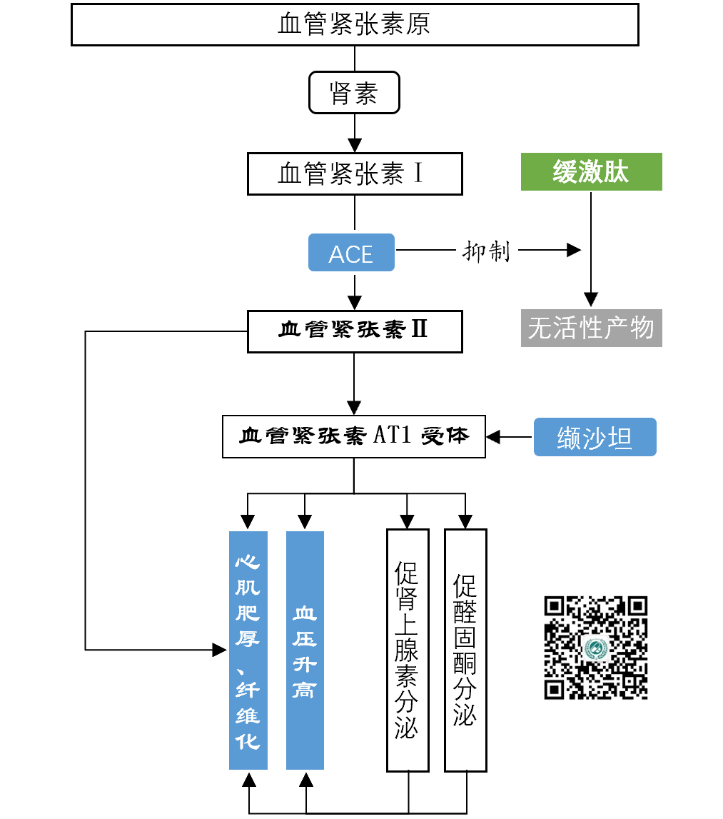 关于沙库巴曲缬沙坦，你至少需要知道这六点！