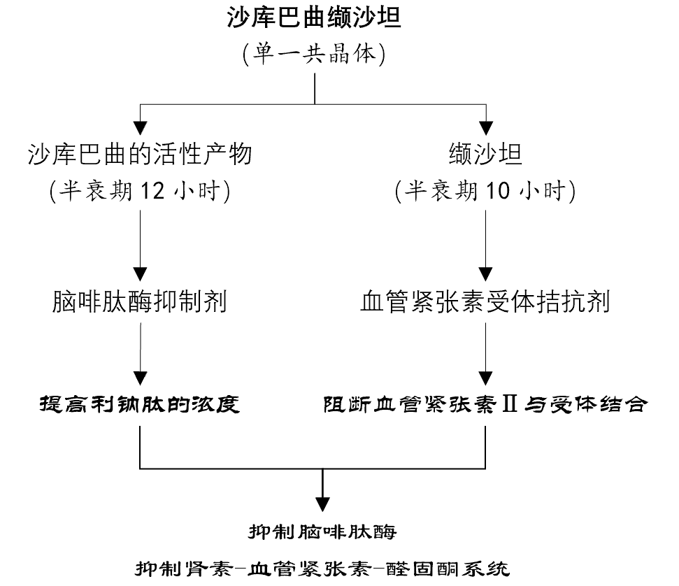 关于沙库巴曲缬沙坦，你至少需要知道这六点！