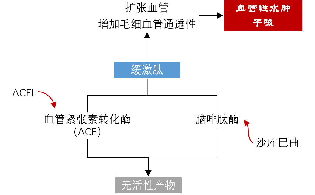 关于沙库巴曲缬沙坦，你至少需要知道这六点！