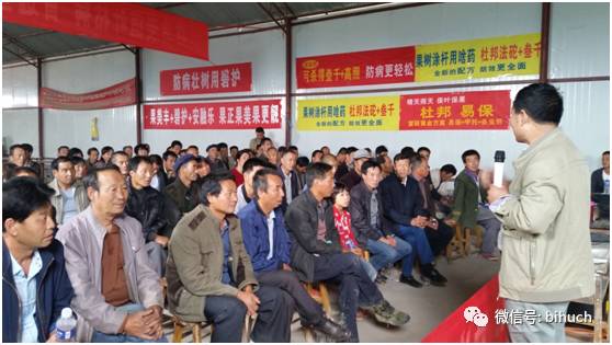 ��ͷ����������ƻ��������