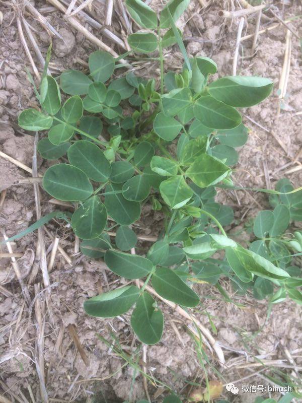 ���������������������ꡰ�������棡