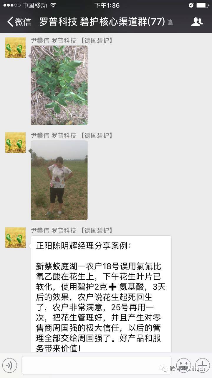 ���������������������ꡰ�������棡