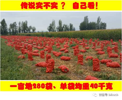 ���𺳡���˵����г�̻���Ķ��11�֡���������