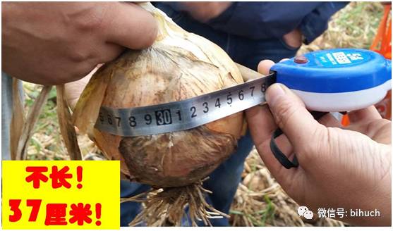 ���𺳡���˵����г�̻���Ķ��11�֡���������