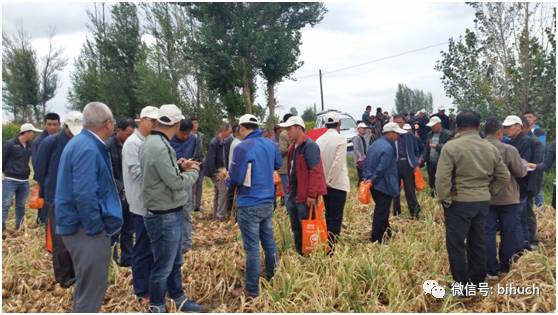 ���𺳡���˵����г�̻���Ķ��11�֡���������