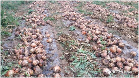 ���𺳡���˵����г�̻���Ķ��11�֡���������