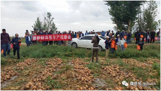 ���𺳡���˵����г�̻���Ķ��11�֡���������