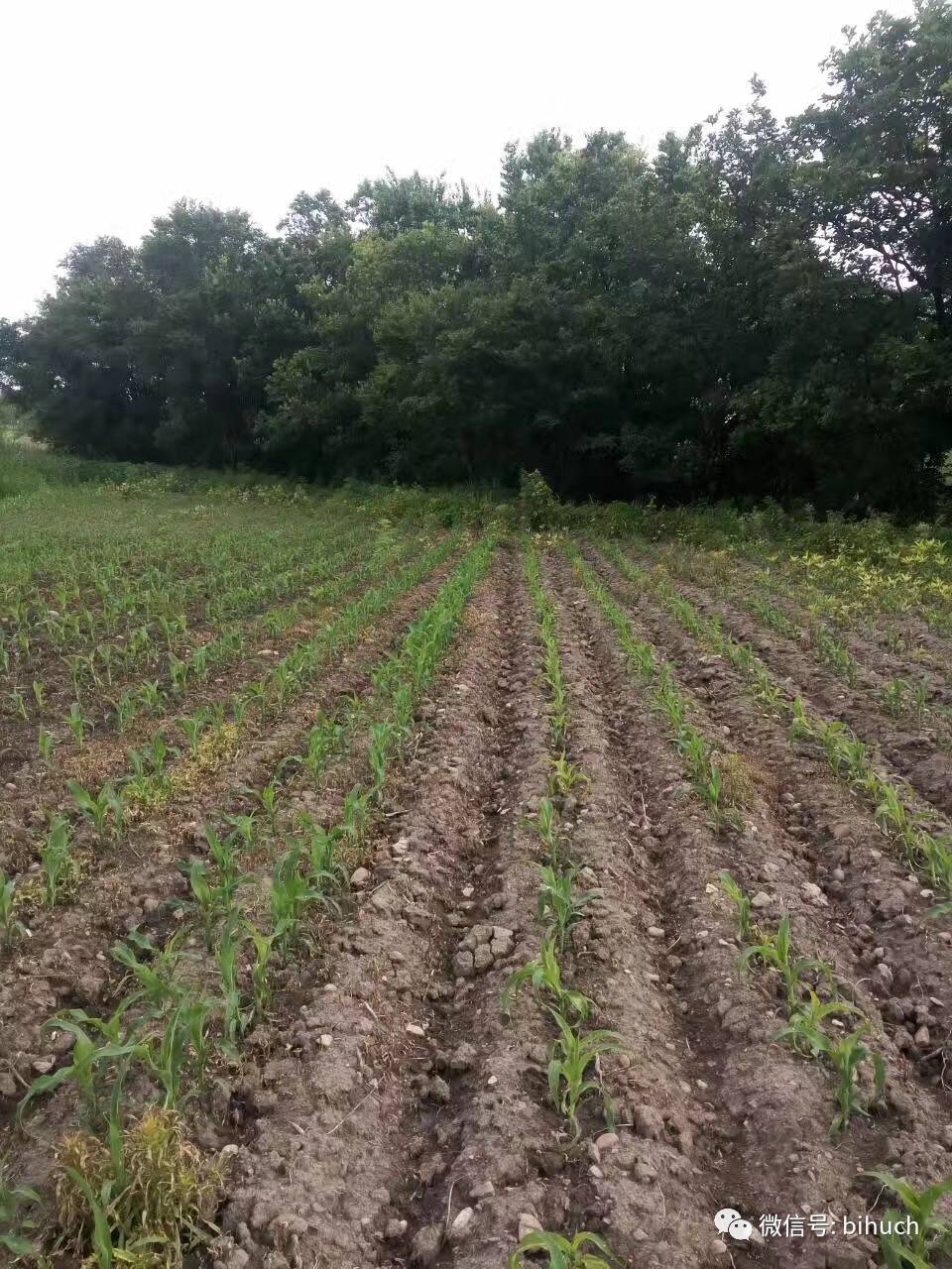 Щջ׸¸ҵ㣡̻/+ݼƪ