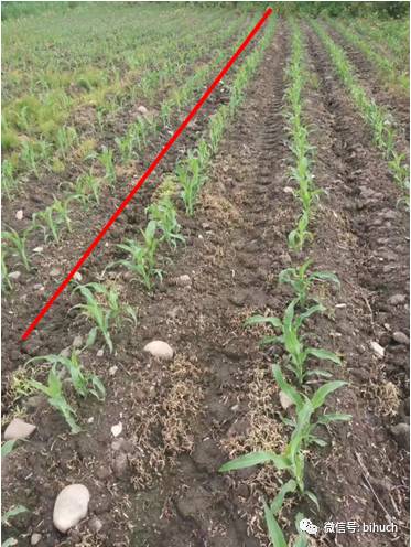 Щջ׸¸ҵ㣡̻/+ݼƪ