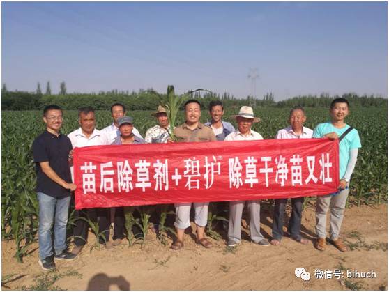 Щջ׸¸ҵ㣡̻/+ݼƪ