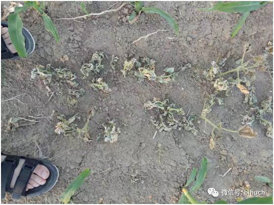 Щջ׸¸ҵ㣡̻/+ݼƪ