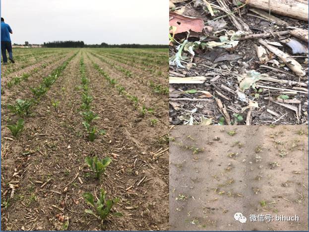 Щջ׸¸ҵ㣡̻/+ݼƪ