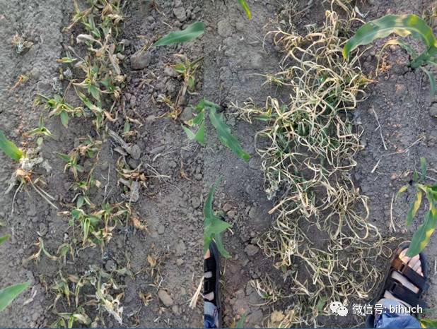 Щջ׸¸ҵ㣡̻/+ݼƪ