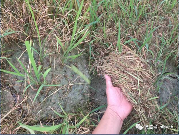 Щջ׸¸ҵ㣡̻/+ݼƪ