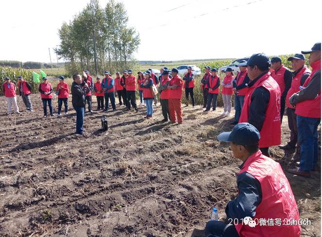 ��ҫ�����أ��̡�����������