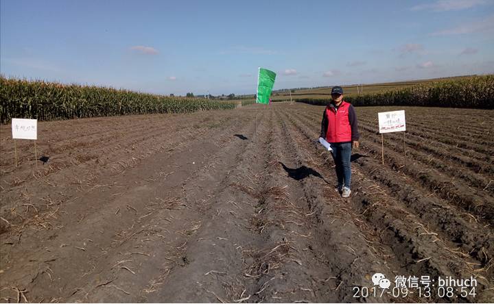 ��ҫ�����أ��̡�����������