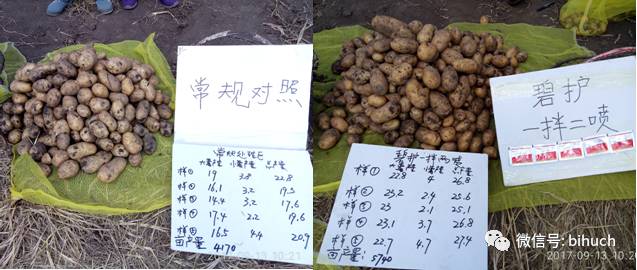 ��ҫ�����أ��̡�����������