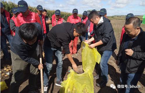 ��ҫ�����أ��̡�����������