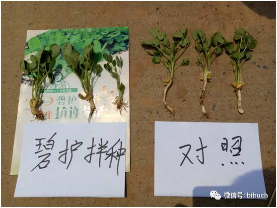 ���������������������ꡰ�������棡