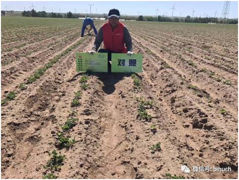 ���������������������ꡰ�������棡